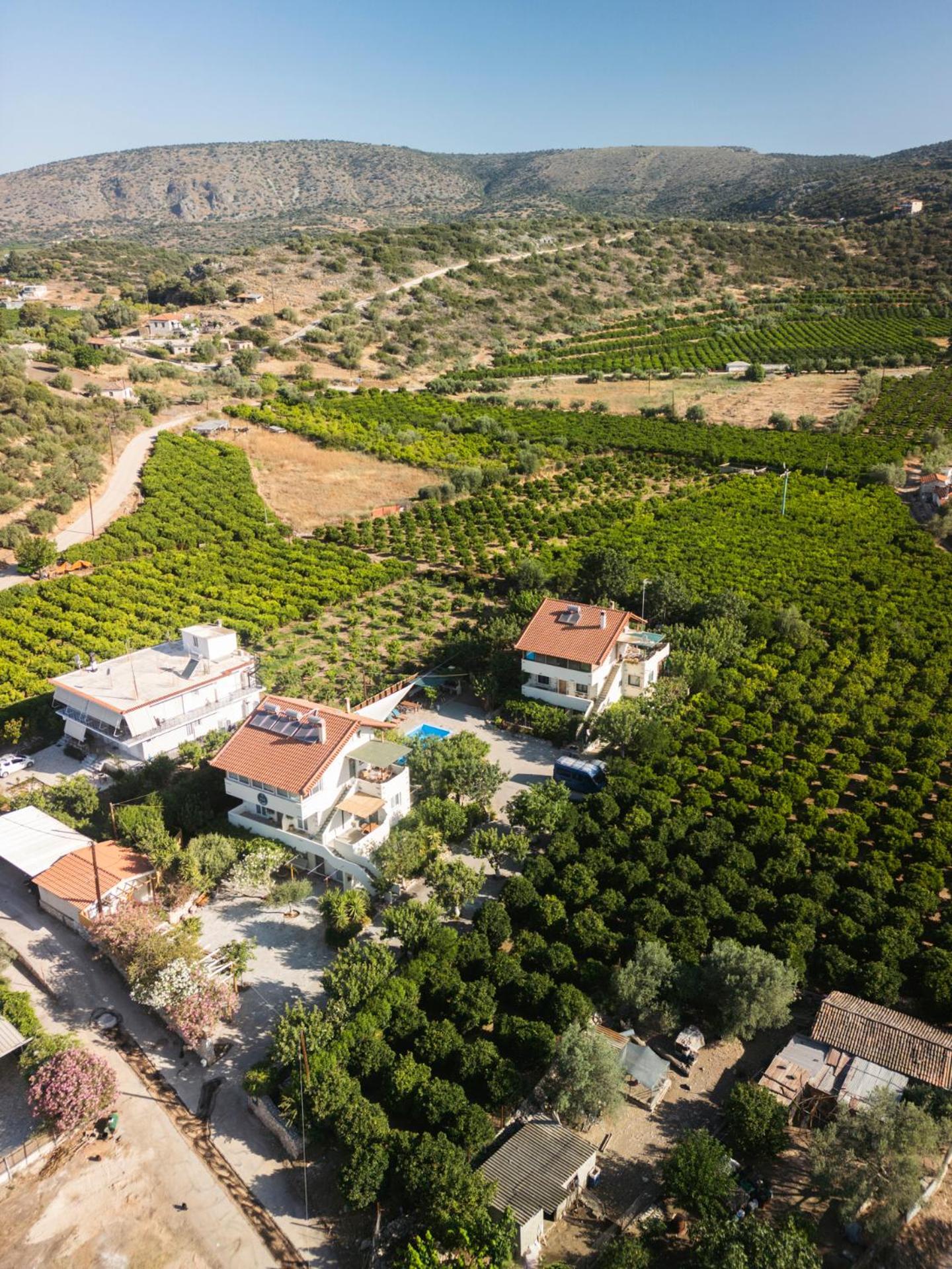 Villa Vivari Suites Nauplion Buitenkant foto